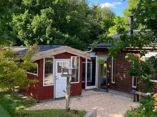 Kolonihave i Enghaven Havekoloni, nær Odense C