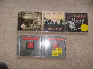 Big Fat Snake CD