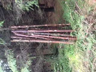 Rafter