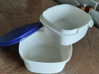 Tupperware, damp- og grønsagsboks