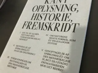 Immanuel Kant Oplysning, Historie, Fremskridt