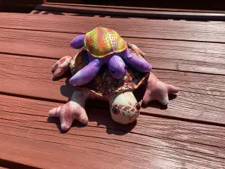 Pynte skildpader- sand dyr