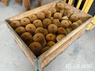 Poleringsbørster - 1 palle