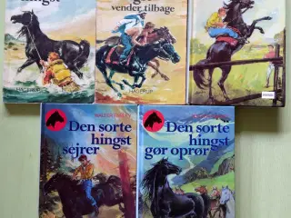 5 stk. Den sorte hingst