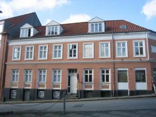 Stor delevenlig bolig i Centrum , Viborg