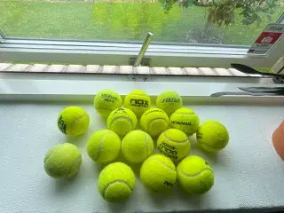 Tennis Bold 