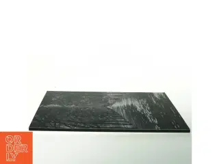 Sort/hvid billede af en træallé (str. 32. x 24 cm)