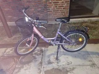 20" Pigecykel