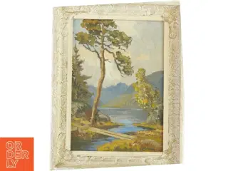 Billede i hvid dekoreret ramme (44x34 cm)