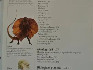 politikens visuelle håndbog natur, Af tommy dybbro