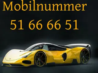 Guldnummer 51 66 66 51