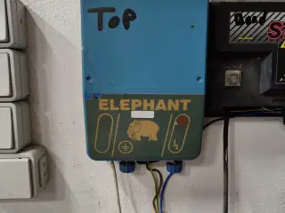 Elephant El hegn 