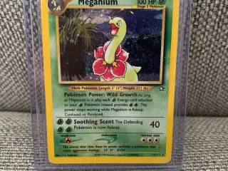 Pokemon Meganium holo kort i Near-Mint stand