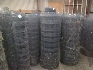 Vildthegn / dyrehegn