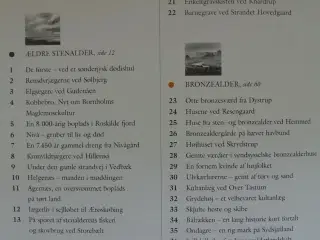 vor skjulte kulturarv. arkæologien under overflade