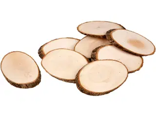 Træskiver med Bark - 12 stk. 11x7,5 cm