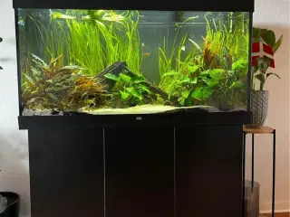 Juwel akvarie 350 liter