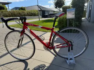  Giant racercykel 