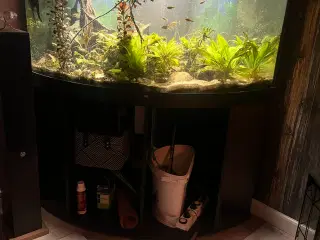 Juvel akvarie