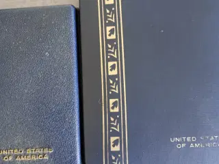 2 amerikanske medaljer 