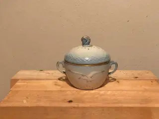 Mågestel med guldkant - 2