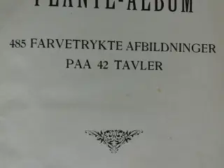 roms plante-album, emne: biologi og botanik