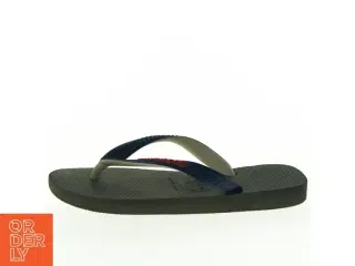 Flip-flops, voksen fra Havaianas (str. 31-32)