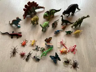 Dino og insekter 