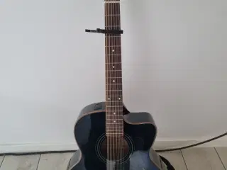 Guitar, 12 strenget, Höfner