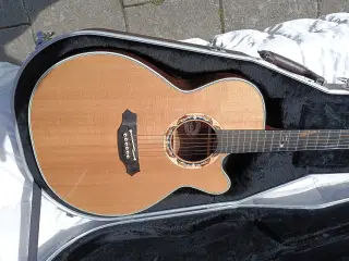 Takamine LTD 2001 "Dolphin!"