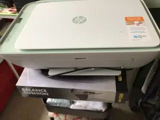 Printer HP