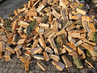 Savet og kløvet bøgetræ brænde