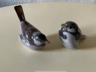 Optimist og pessimist fugle