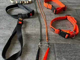 Diverse hunde tilbehør, dummy, halsbånd mv.