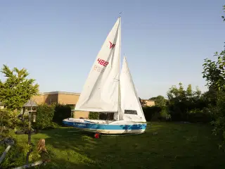 Wayfarer jolle sælges