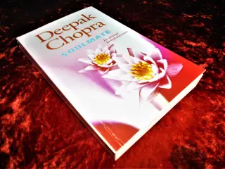 Soulmate, Deepak Chopra