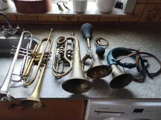 Trompet fra Belgien flot trompet 