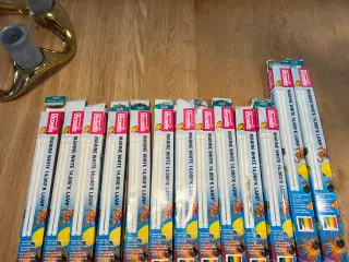 Pære/Lysstofrør fra Arcadia