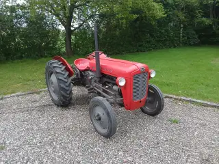 Massey Ferguson 35 benzin 