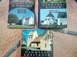 Bog "Danmarks købstæder" m.fl.