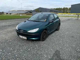 Nysynet Peugeot 206