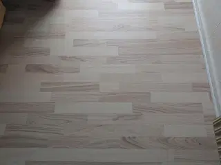 Trægulv 