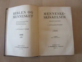 Bog - Menneskeskikkelser - Bibelske karakterer