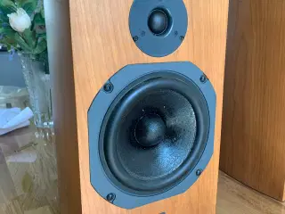 ATC SCM 11 (passiv) 100watt