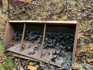 Bagskovl / Sluf 200cm