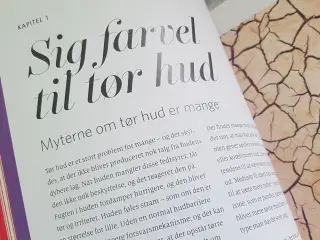 Hudpleje, Perfekt hud bog, Ole Henriksen