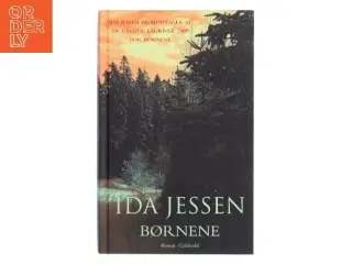 Børnene : roman af Ida Jessen (f. 1964) (Bog)