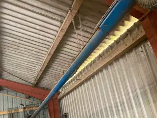 Kornsnegl 5 til 7 meter 