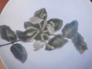 Art Nouveau Platte
