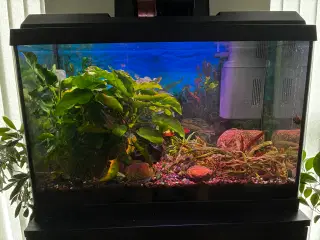 Akvarier 70 l